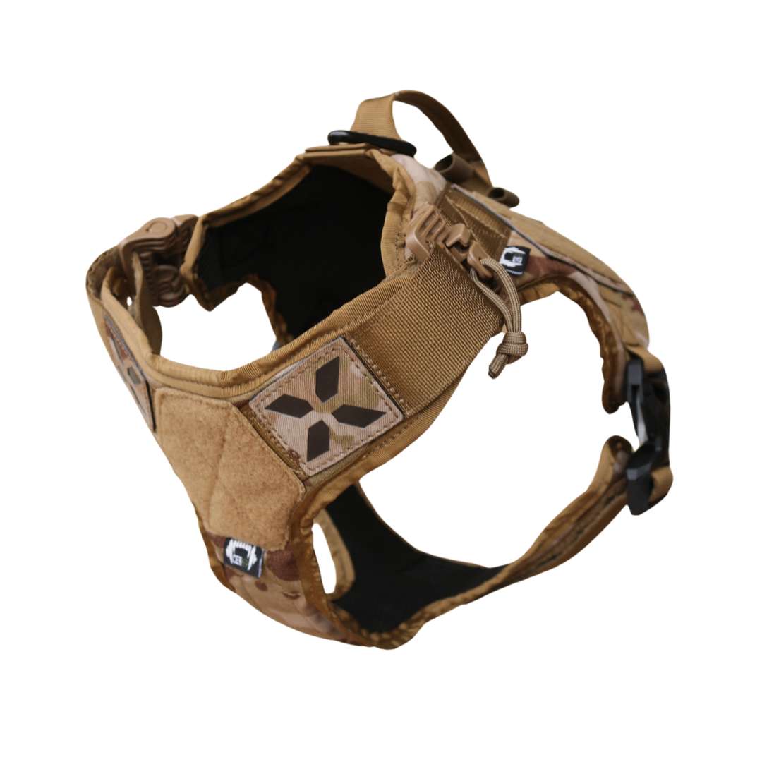 Praetorian Harness