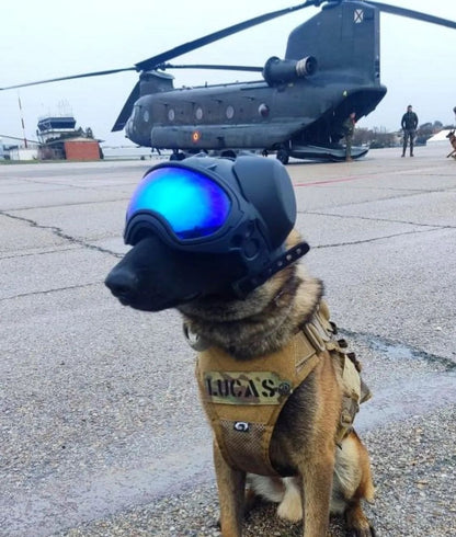 Spec Ops Harness