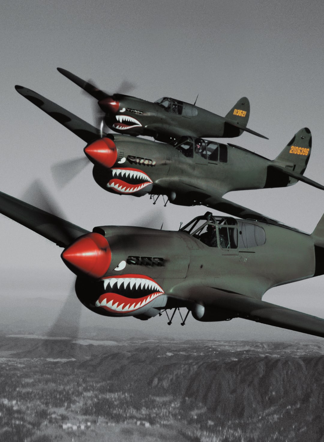 Collare P-40 Warhawk